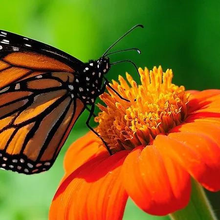 阿斯特拉酒店 酒店